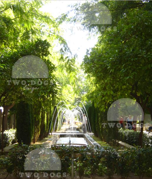 Serene Garden Fountain – Tranquil Green Oasis Photography Digital Download